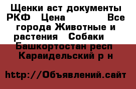 Щенки аст документы РКФ › Цена ­ 15 000 - Все города Животные и растения » Собаки   . Башкортостан респ.,Караидельский р-н